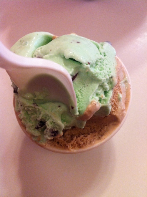Mint Chocolate Chip and Mocha