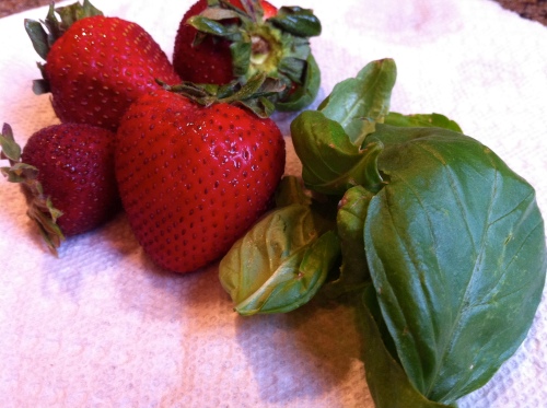 Fresh strawberries and basil